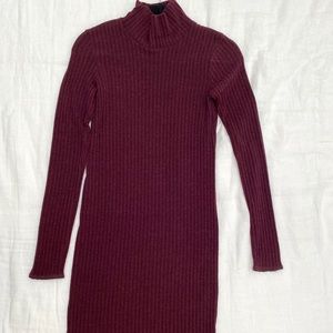 Aritzia Fitted Sweater Dress